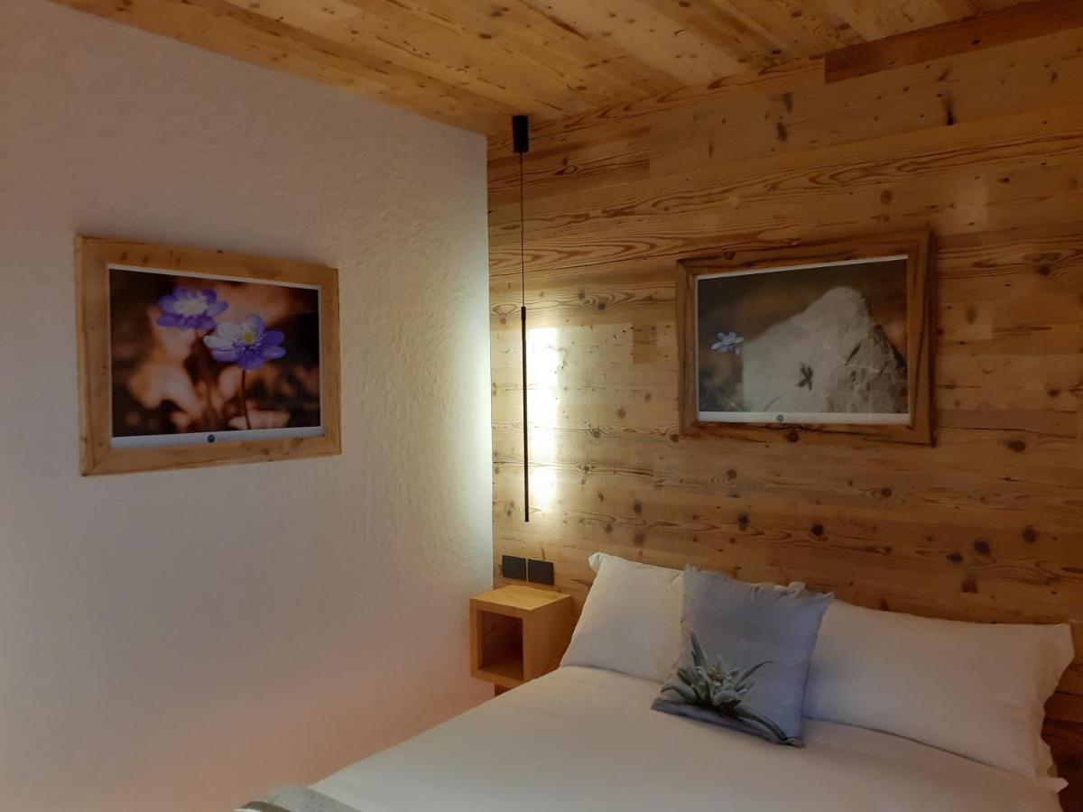 B&B Il Bucaneve Santo Stefano Di Cadore Εξωτερικό φωτογραφία