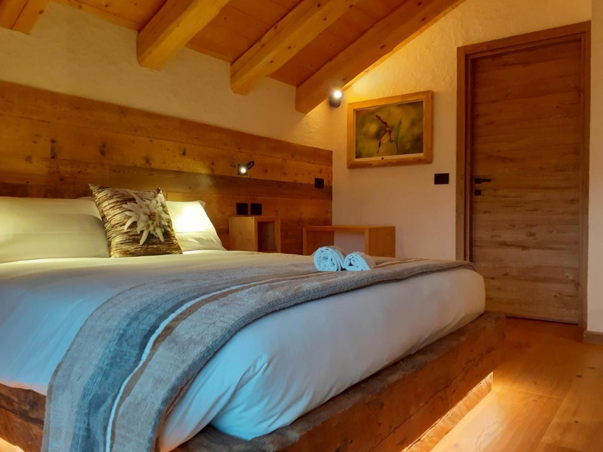 B&B Il Bucaneve Santo Stefano Di Cadore Εξωτερικό φωτογραφία